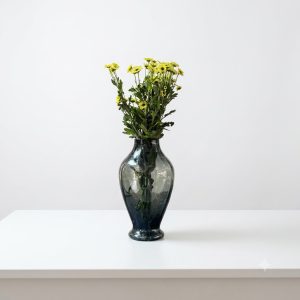 داوودی بابونه ای
