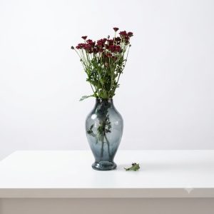 داوودی بابونه ای