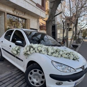 دیزاین ماشین عروس