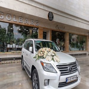 دیزاین ماشین عروس