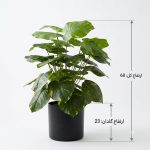 درختچه مصنوعی برگ انجیری کوچک - Image 2