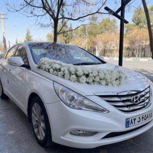 دیزاین ماشین عروس