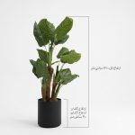 درختچه مصنوعی بابا آدم - Image 2