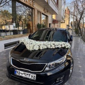 دیزاین ماشین عروس